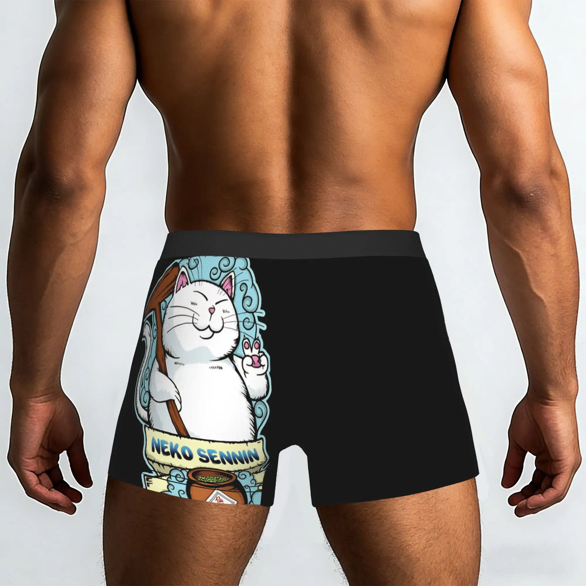 Boxer Dragon Ball - Maître Karin